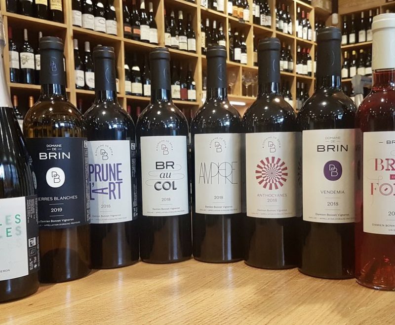 Domaine de Brin