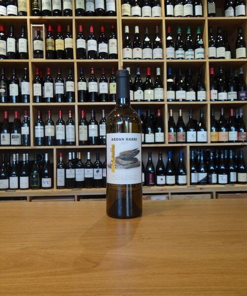 Domaine XUBIALDEA - Ardan HARRI - Irouléguy blanc